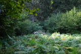 2026_08_31-09_51_31.jpg