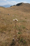 2026_09_01-12_41_16.jpg