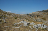 2026_09_02-10_49_34.jpg