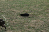 2026_09_02-16_31_45.jpg