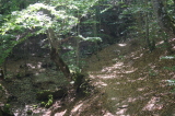 2026_09_03-11_42_38.jpg
