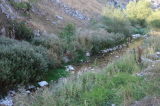 2026_09_03-17_17_31.jpg