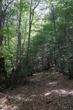 2026_09_04-13_20_47.jpg