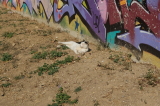2026_09_05-09_24_21.jpg